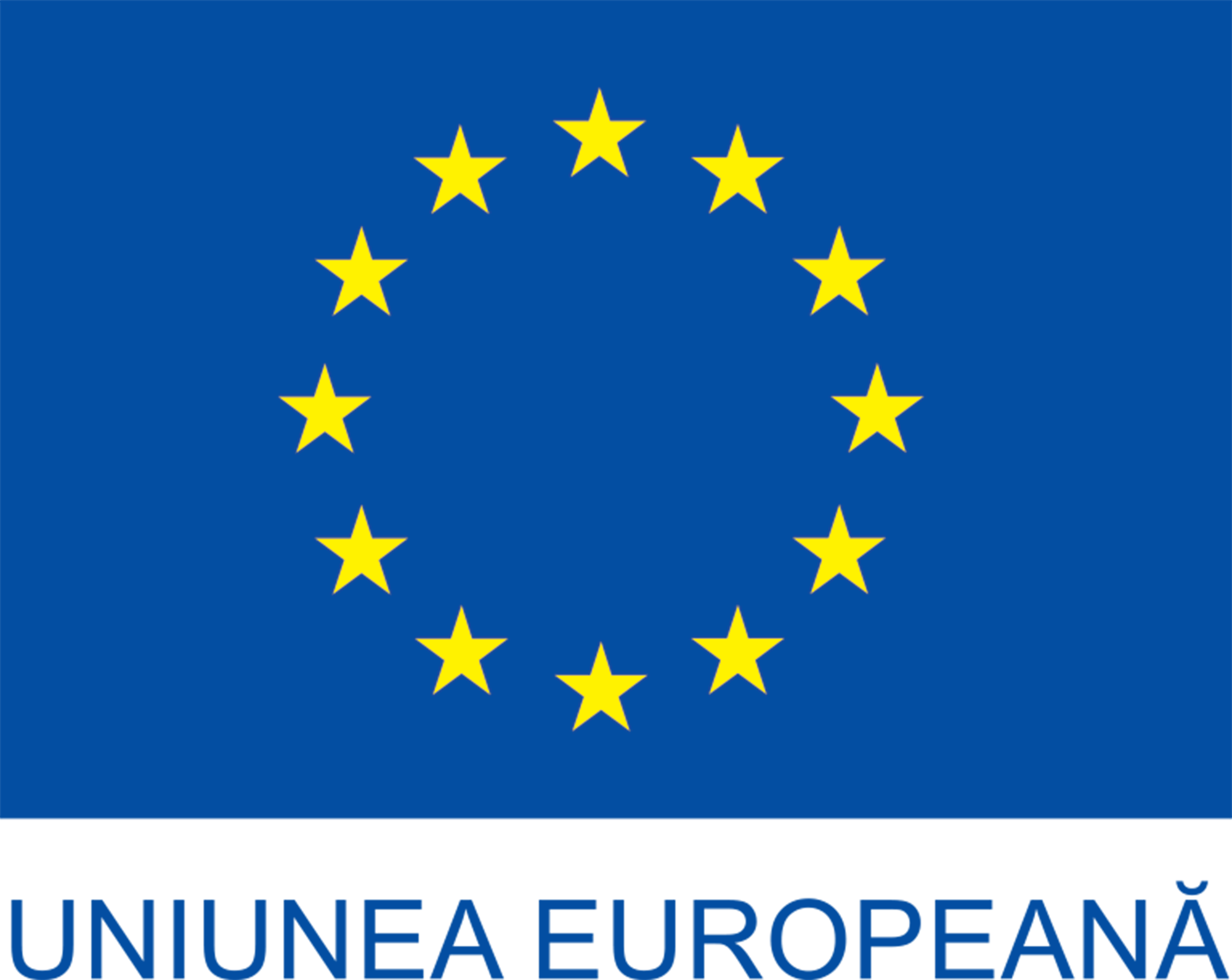 Stagii de practică